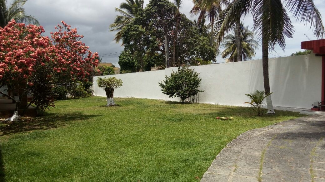 Casa, 4 quartos, 1500 m² - Foto 2