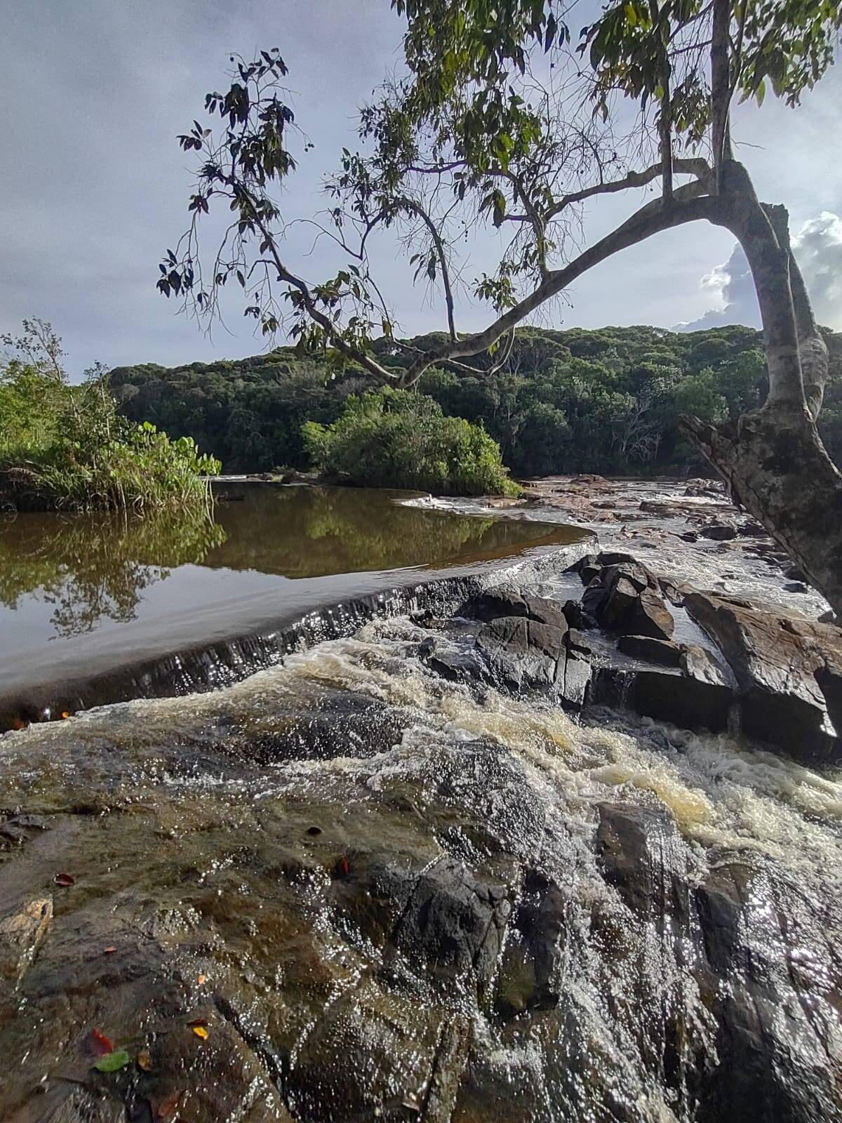 Terreno, 3000 m² - Foto 1