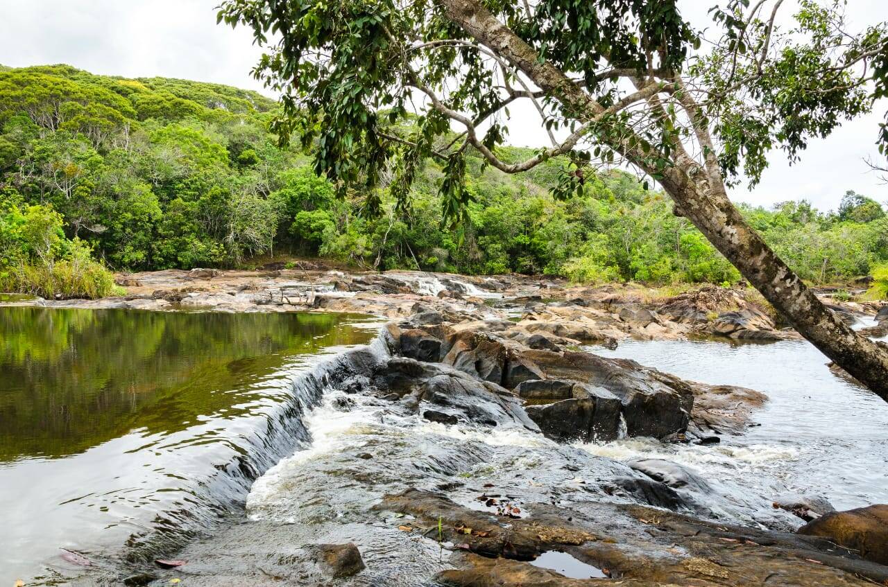 Terreno, 3000 m² - Foto 5