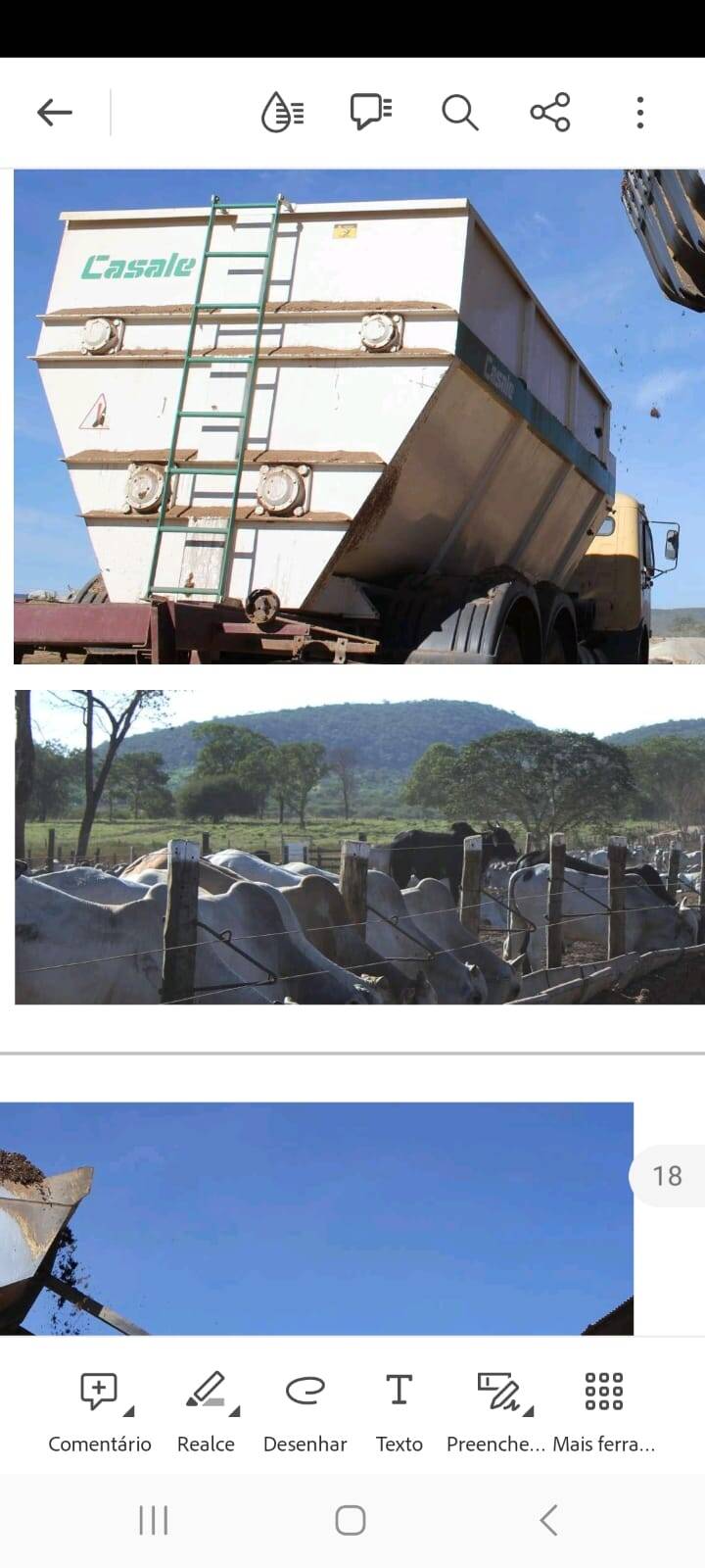 Fazenda, 10000 hectares - Foto 4