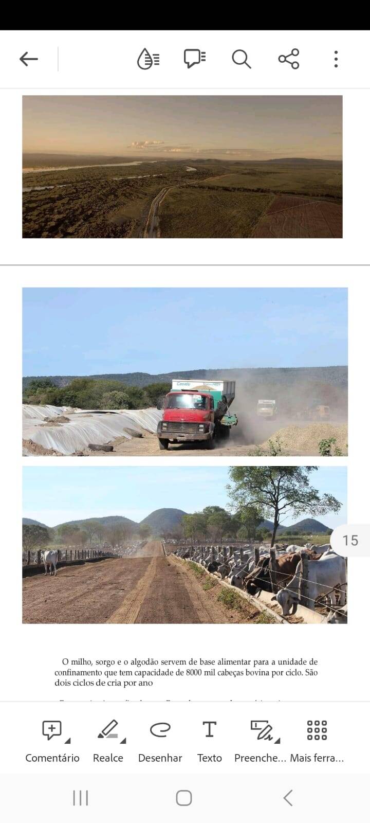 Fazenda, 10000 hectares - Foto 3