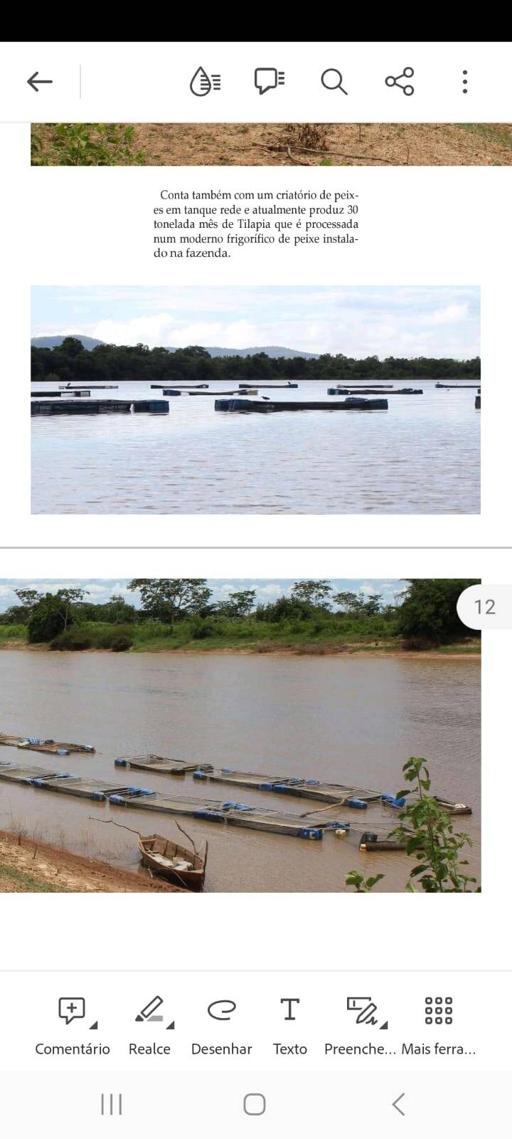 Fazenda, 10000 hectares - Foto 5