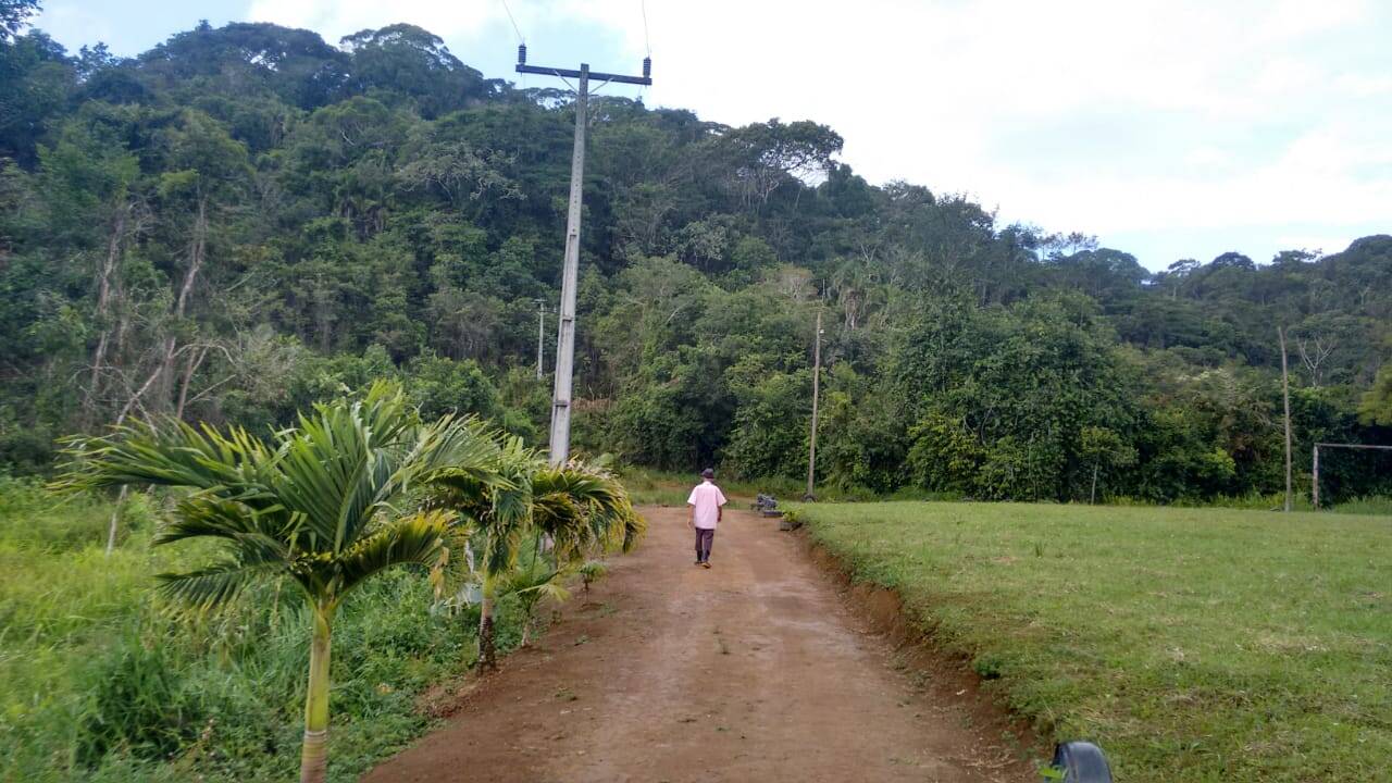 Sítio, 2 quartos, 230 hectares - Foto 3