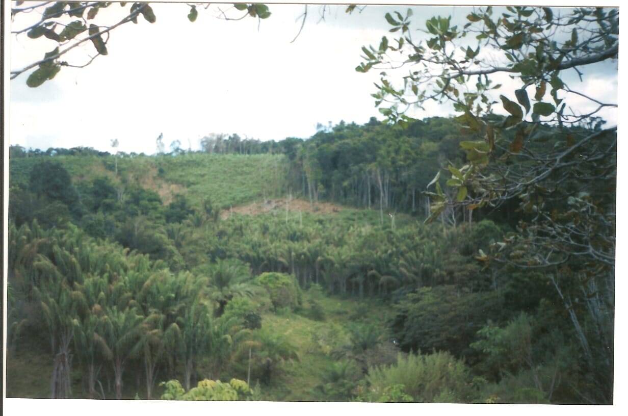 Sítio, 2 quartos, 230 hectares - Foto 5