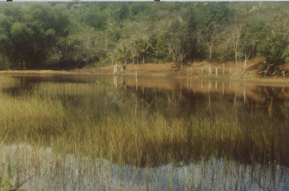 Sítio, 2 quartos, 230 hectares - Foto 11