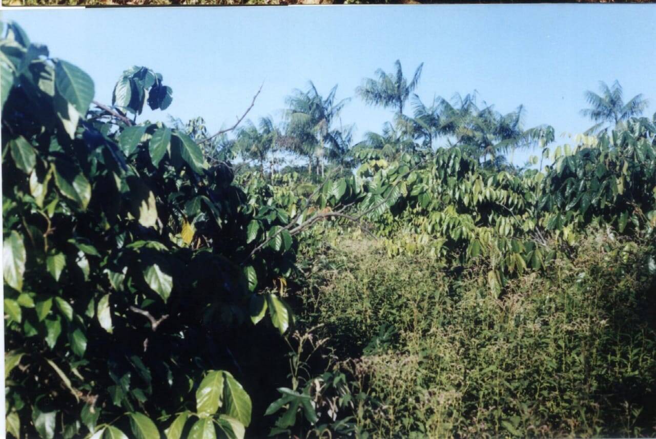 Sítio, 2 quartos, 230 hectares - Foto 12