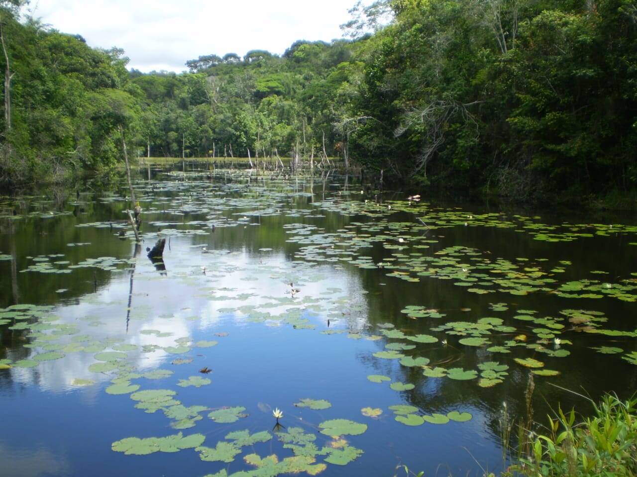 Sítio, 2 quartos, 230 hectares - Foto 18