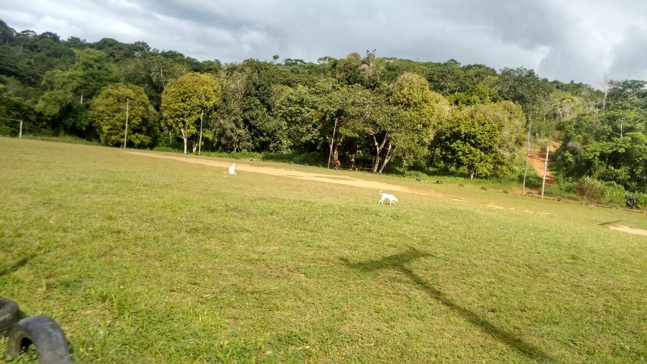 Sítio, 2 quartos, 230 hectares - Foto 19
