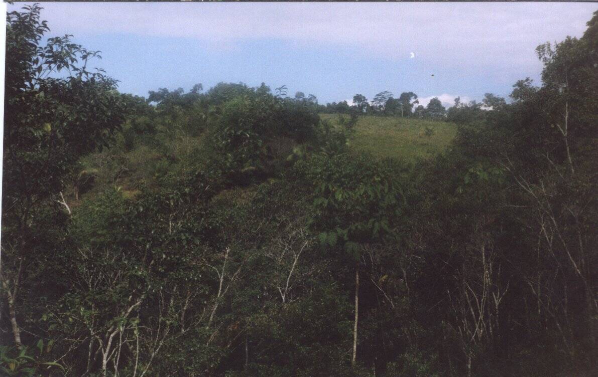 Sítio, 2 quartos, 230 hectares - Foto 26